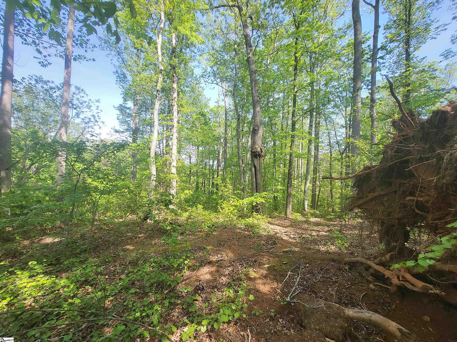 121 Laurel Valley Way