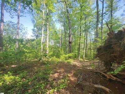 121 Laurel Valley Way, Travelers Rest, SC, 29690