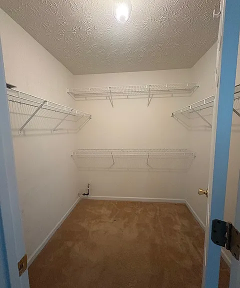 95 Saddlebrook Ct — Photo 8