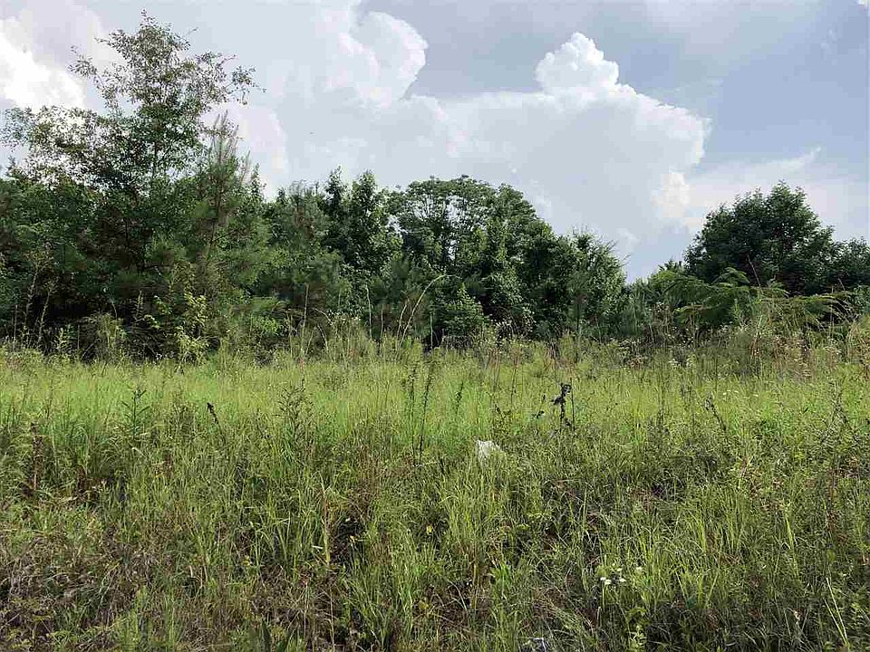2nd image of 311 Dry Creek Ln