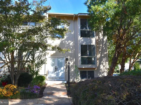 9858 Sweet Mint Dr, Vienna, VA 22181