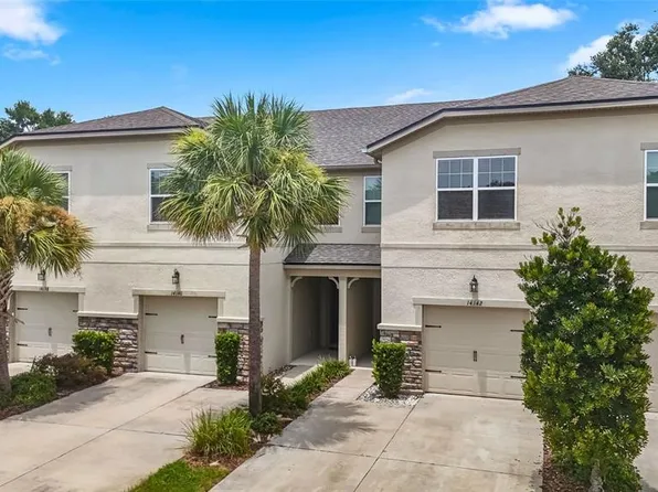 14140 DAMSELFLY DRIVE, TAMPA, FL 33625