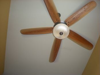 Foyer ceiling fan