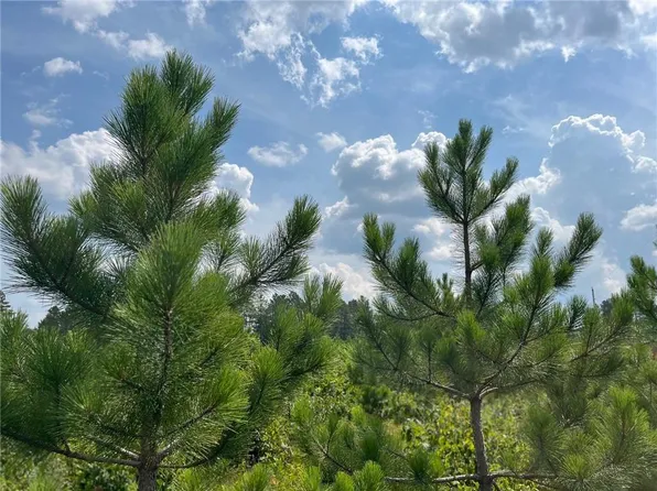 56010 County Hwy A, Barnes, WI 54873