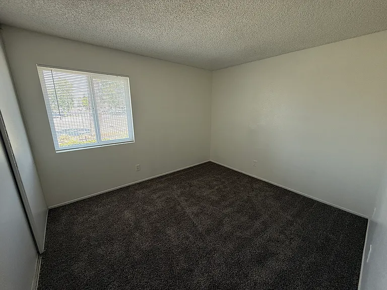 1457 Clemson Way — Photo 11