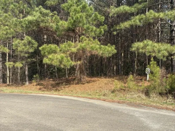 26 Fox Paw Leaf Ln, Ellijay, GA 30536