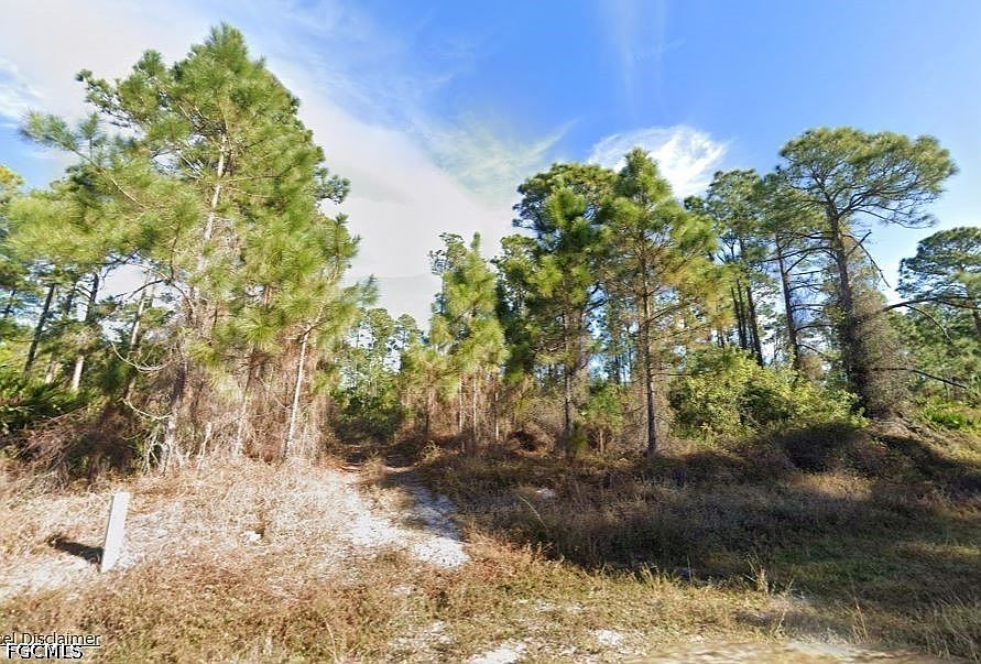 2nd image of 743 Pinecastle Dr