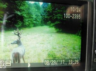 0 Freeman Hill Rd, Greenville, GA 30222