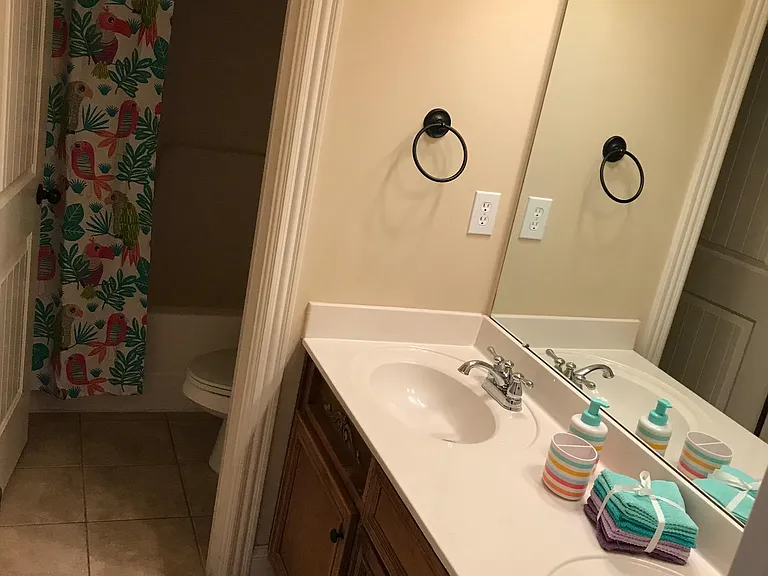 Guest bathroom