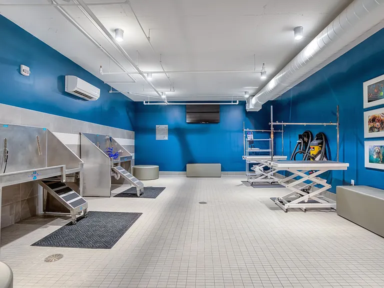 Pet Spa and Grooming Stations