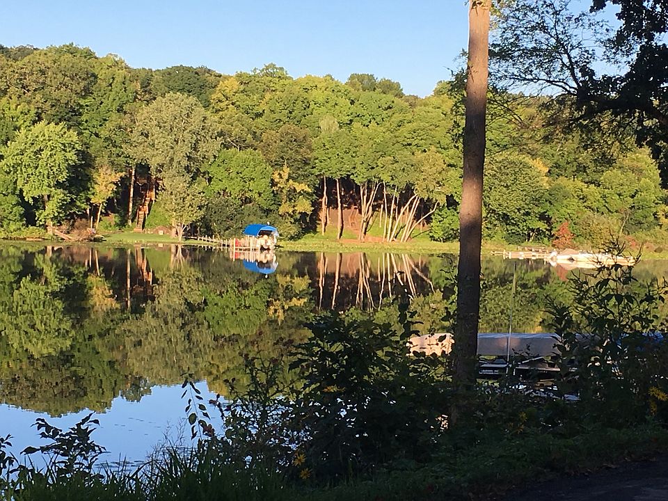 Morning on Lotus