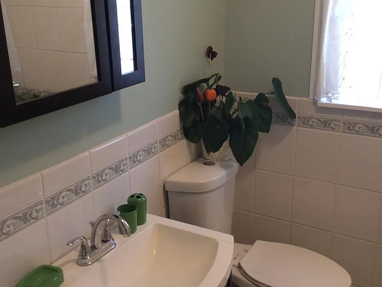 Bathroom downstairs.