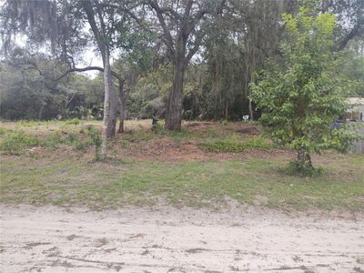 Azalea Ave, Paisley, FL, 32767