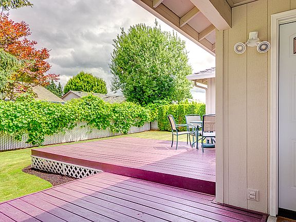 Backyard #3