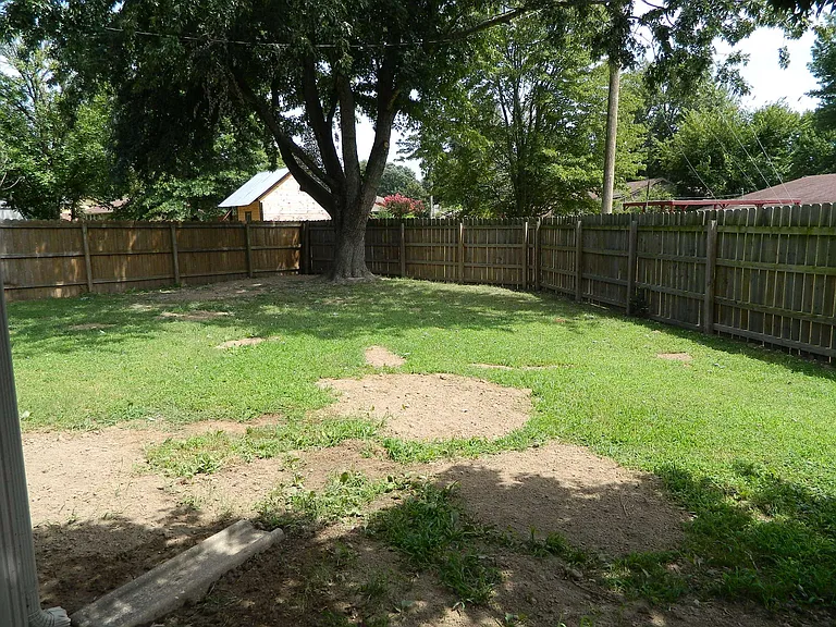 Back yard