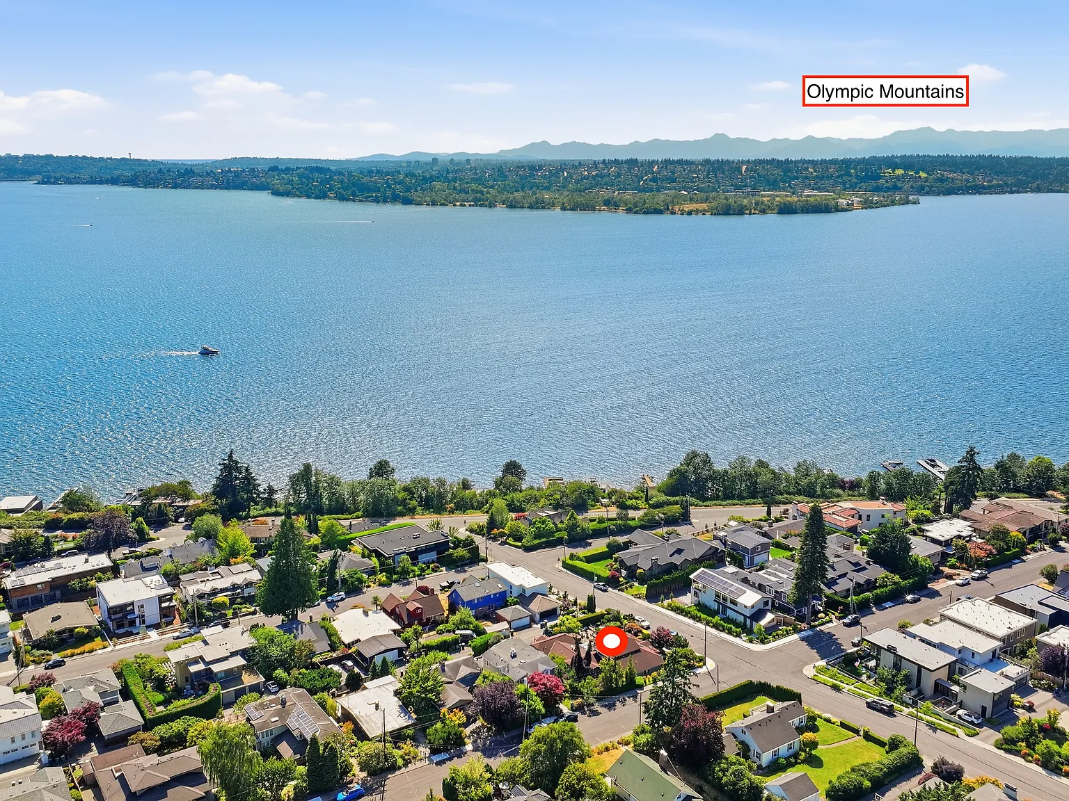1 bed, 780 sqft, $8,000 — Photo 2