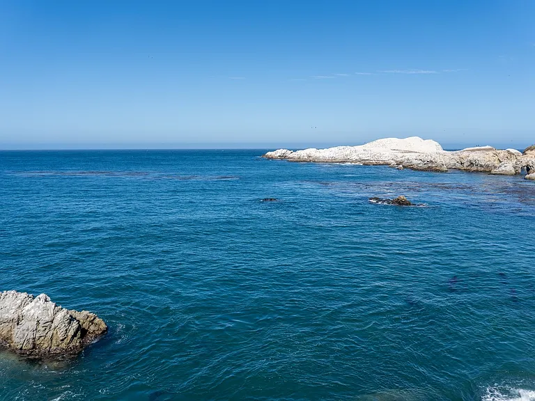 100 Highway 1 — Photo 42