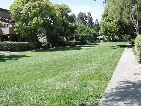 4th image of 233 Del Monte Ln