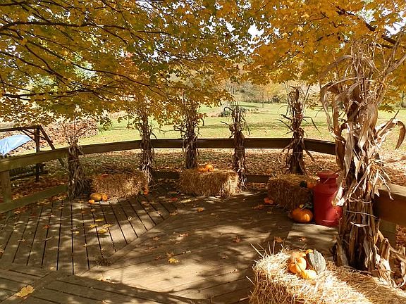 Back porch view in Fall