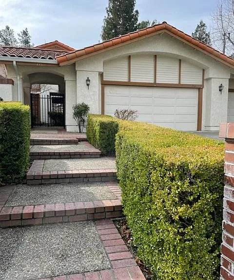 335 Live Oak Dr — Photo 1
