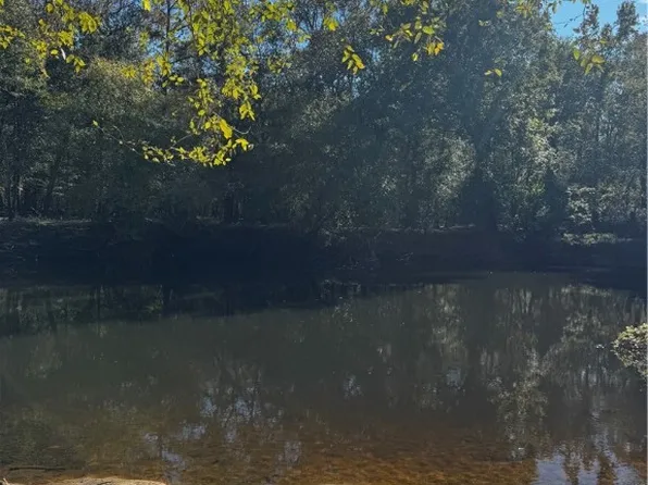 Lots 91 92 93 & Tract Spikes Rd #544, Reidsville, GA 30453