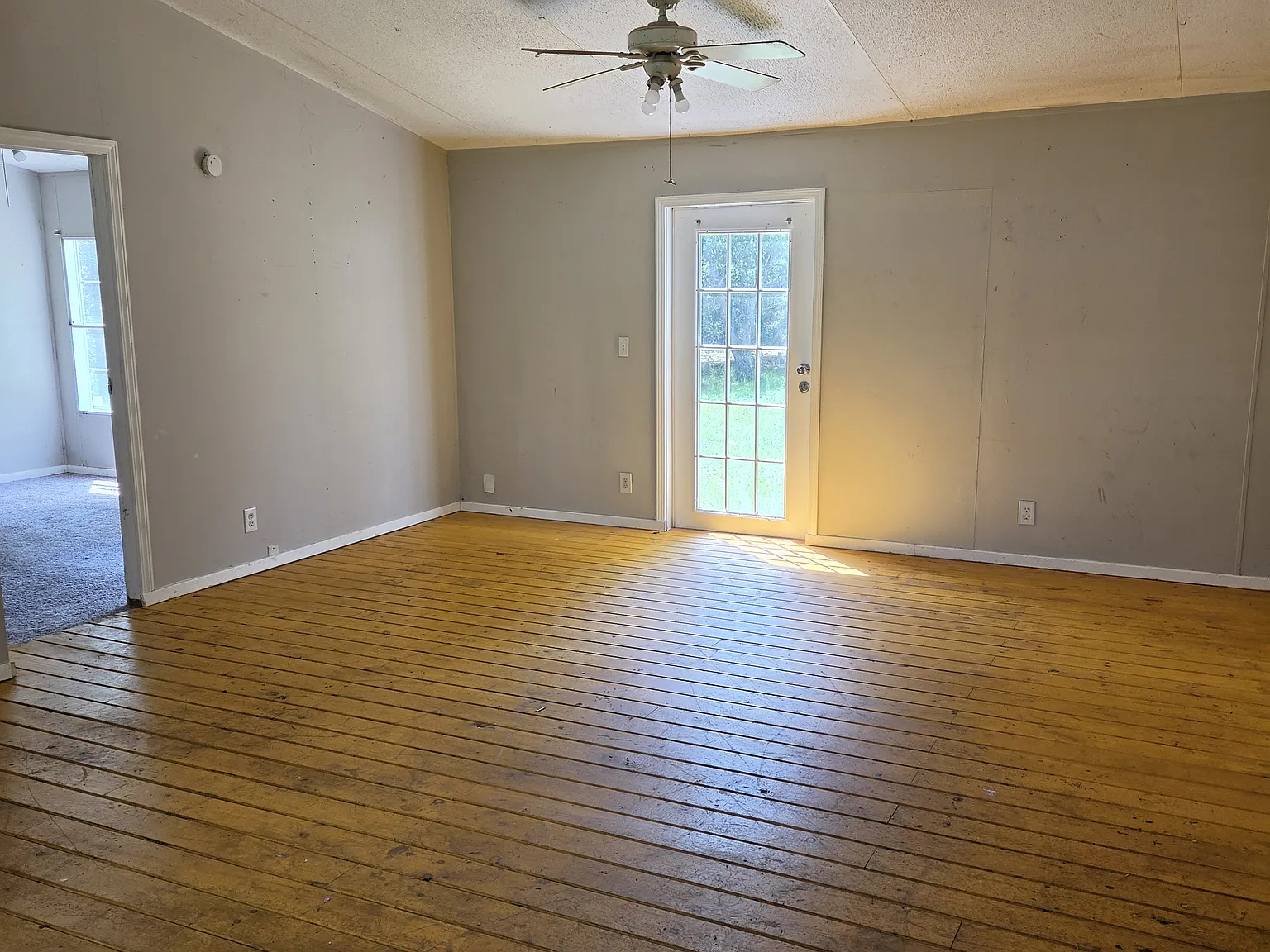 5269 Louis Ln — Photo 3