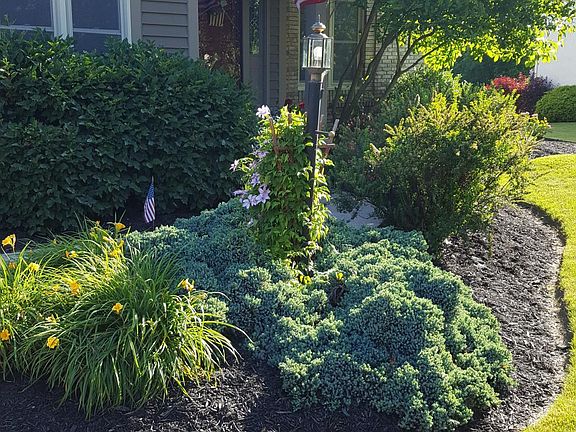 5th image of 9687 Crawford Dr