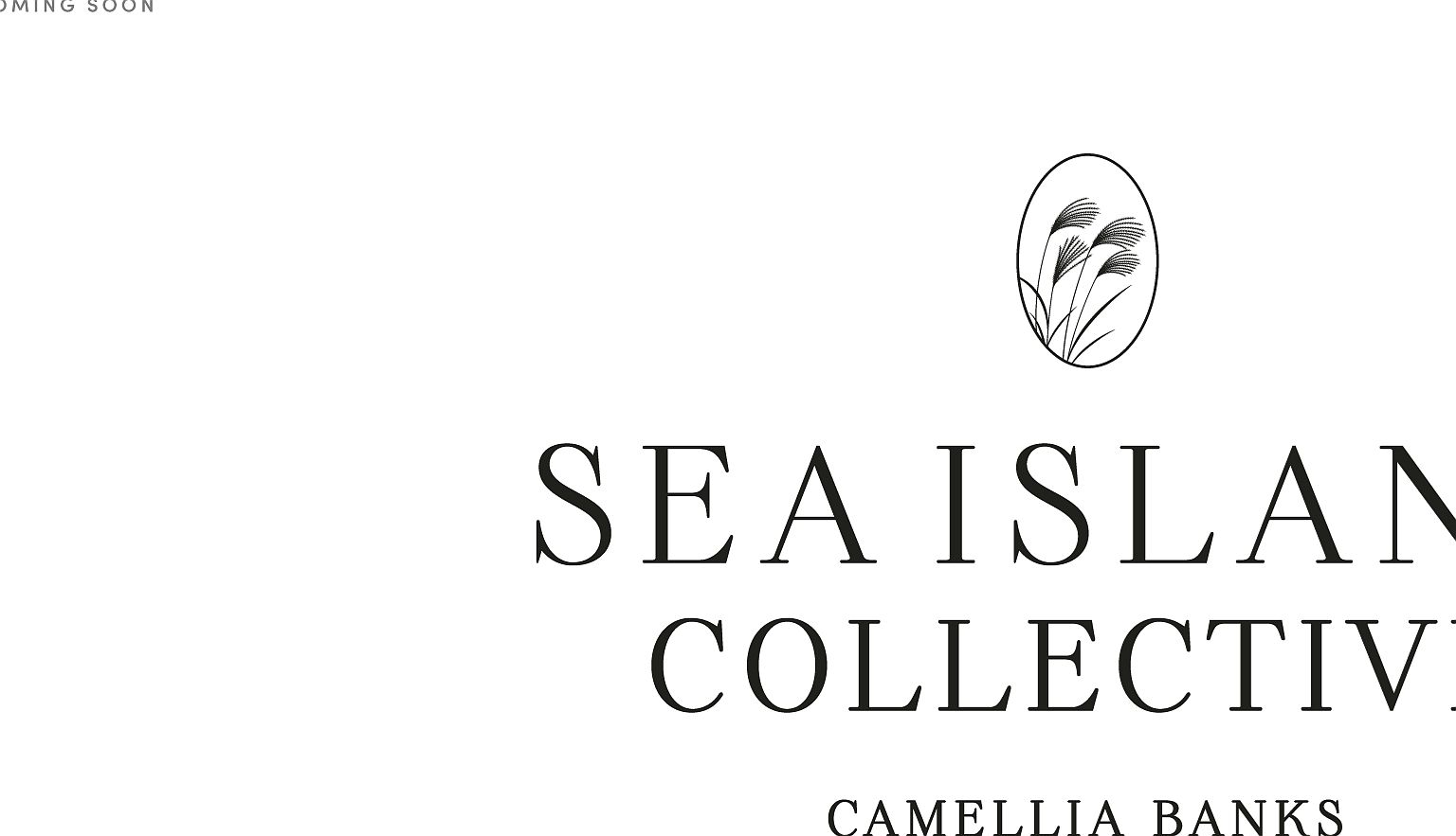 Sea Island Collective by K Hovnanian Homes in Beaufort SC Zillow