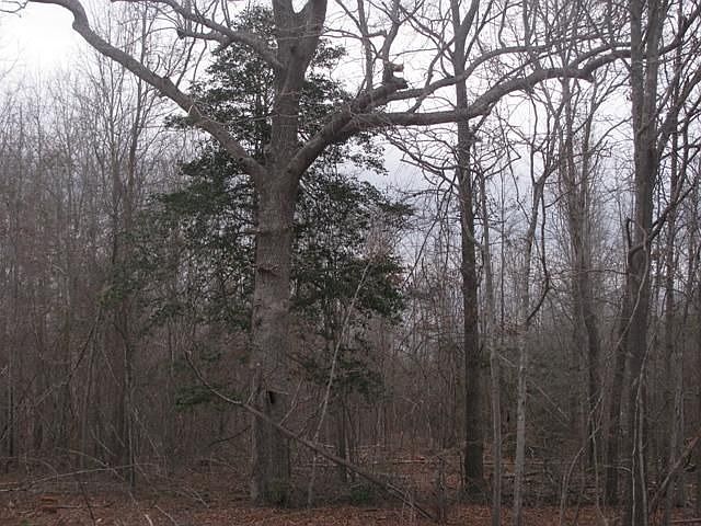 2nd image of 3353 Old Stagecoach Rd