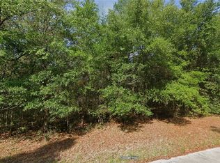 9229 N Pineview Way, Citrus Springs, FL 34434