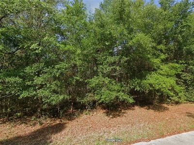 9229 N Pineview Way, Citrus Springs, FL, 34434