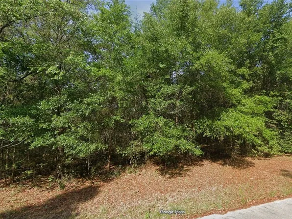 9229 N Pineview Way, Citrus Springs, FL 34434