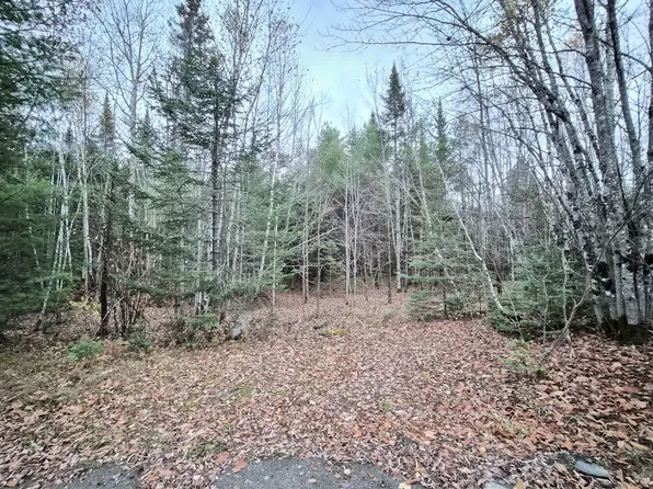 MR17 L7 Holley Road, Farmington, ME 04938