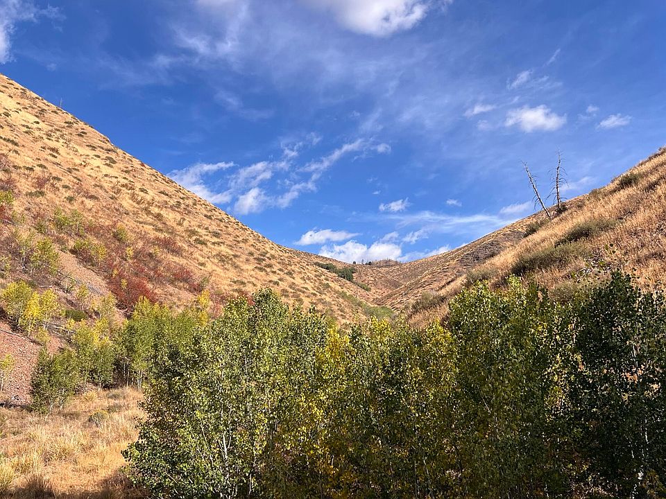 28th image of 270 Greenhorn Gulch Rd
