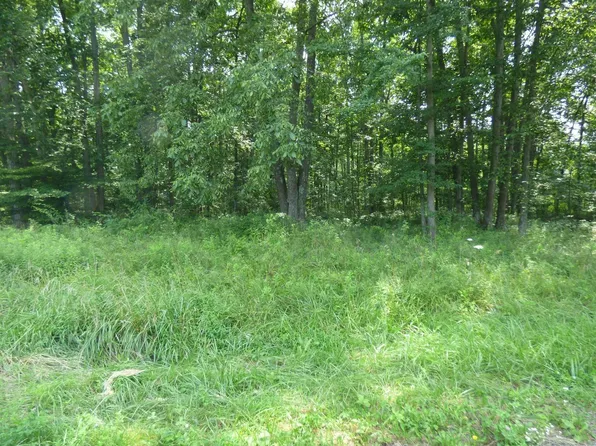 0 Hannah Farm Ln Lot 7, Bethel, OH 45106