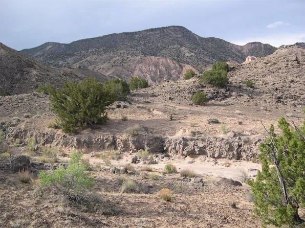 8A Blackfoot Trl, Abiquiu, NM 87510