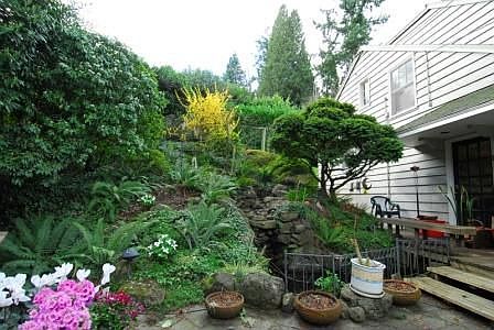 Patio, pond, gardens