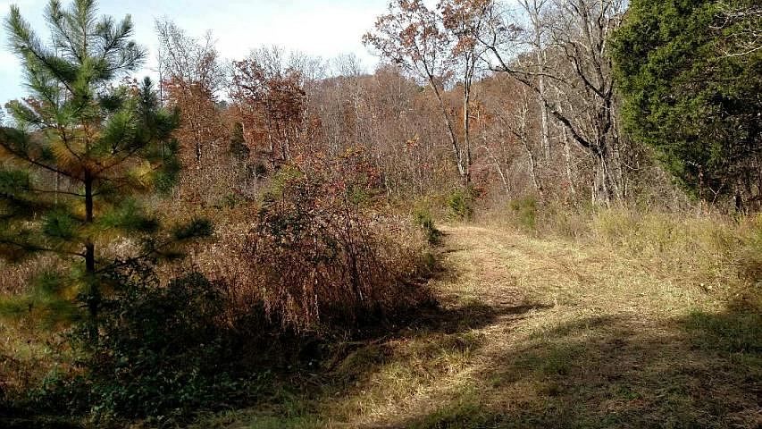 2nd image of LOT 3 Butcher Valley Rd