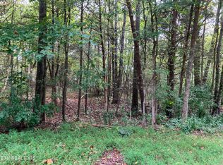 LOT 1129 Cove Ln, White Pine, TN 37890