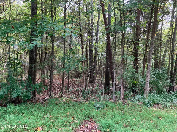 LOT 1129 Cove Ln, White Pine, TN 37890