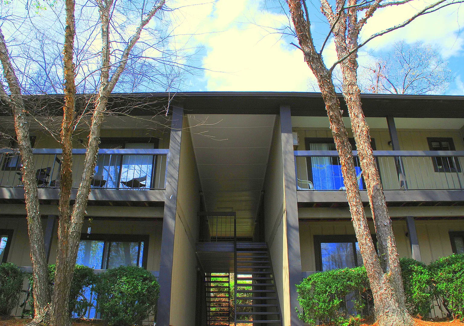 Campus View Apt-Walking Distance to UGA! — Photo 2