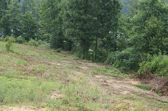 2nd image of 340 Co Rd 907 (lot #14)