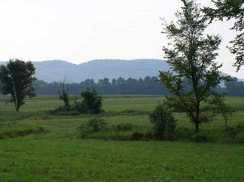 3rd image of 1 WILLIAMS Road