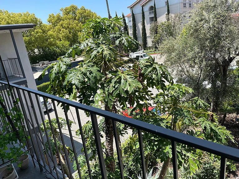 470 E Angeleno Ave — Photo 3