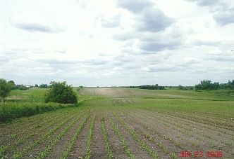 2nd image of Tbd 185th St