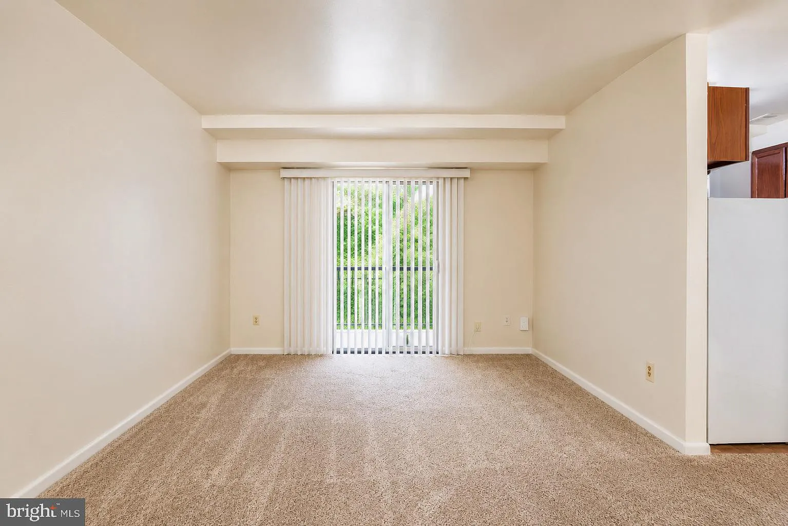 1 bed, $1,250 — Photo 4