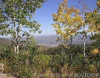 1st image of 144 S Forest Meadow Rd #Y