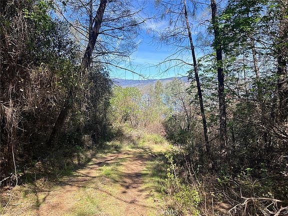 4th image of 6189 Soda Bay Rd