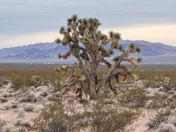 11422 W Rocking Horse Dr, Willow Beach, AZ 86445