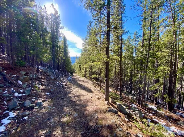Nnn Section 28, Neihart, MT 59465